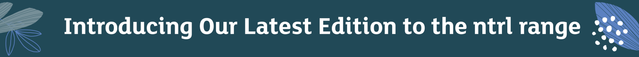 Intro Banner